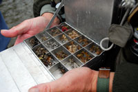 Fly Fishing Vermont and New York State